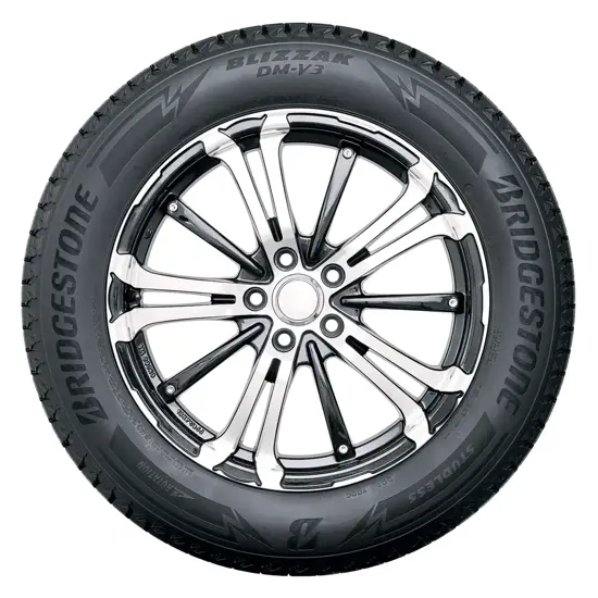 Bridgestone Blizzak DM-V3 225/60 R18 100S | rubbex.com